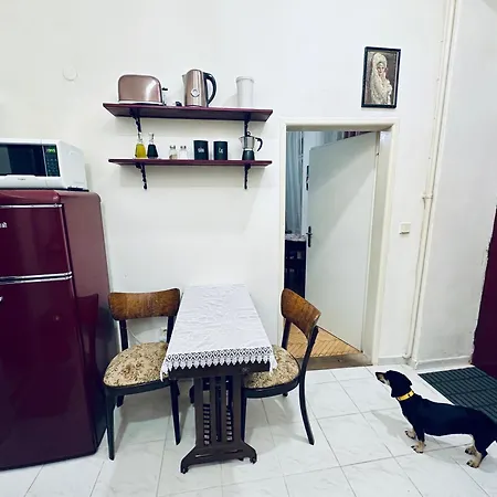 Libling Bratislavsky - Quiet Apartment Pressburg